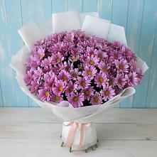Букет цветов из:  Хризантемы в Ильинском Раменский район