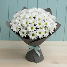 Букет цветов из:  Хризантемы в Ильинском Раменский район