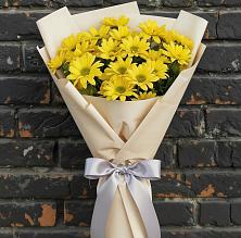 Букет цветов из:  Хризантемы #REPLACE_PRED# Ильинском Раменский район