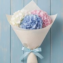 Букет цветов из:  Гортензия в Ильинском Раменский район