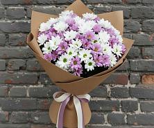 Букет цветов из:  Хризантемы в Ильинском Раменский район