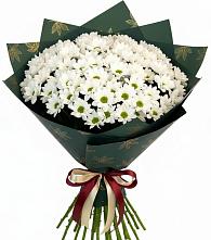 Букет цветов из:  Хризантемы в Ильинском Раменский район