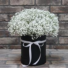 Цветочная композиция из Гипсофила в шляпной коробке в Ильинском Раменский район