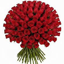 Букет Красные розы Чери Лав в Ильинском Раменский район