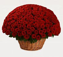 Премиум букет из: Розы в Ильинском Раменский район