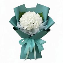 Букет цветов из:  Гортензия в Ильинском Раменский район